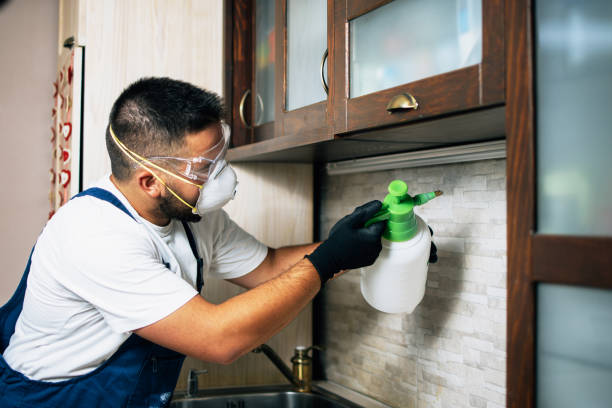 Best Insect Control  in Coolidge, AZ