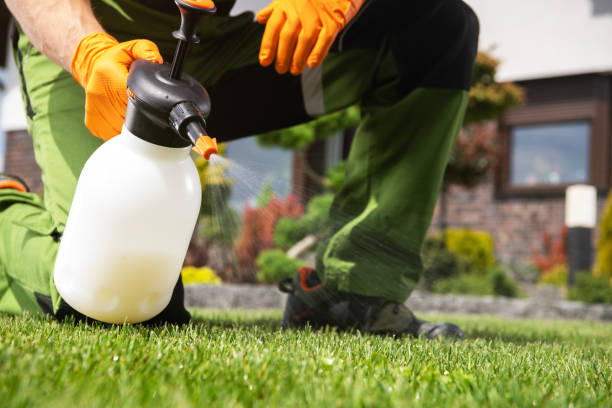 Best Affordable Pest Control Services  in Coolidge, AZ