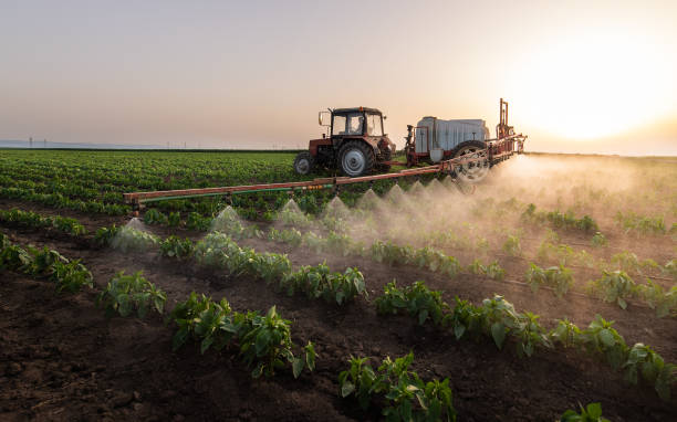 Reliable Coolidge, AZ Pest Control Solutions