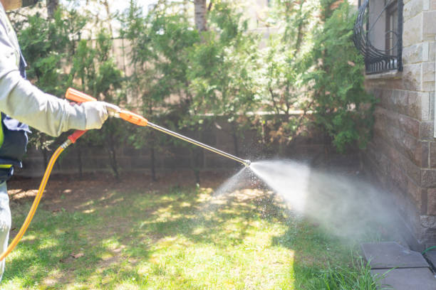 Best Pest Control Near Me  in Coolidge, AZ
